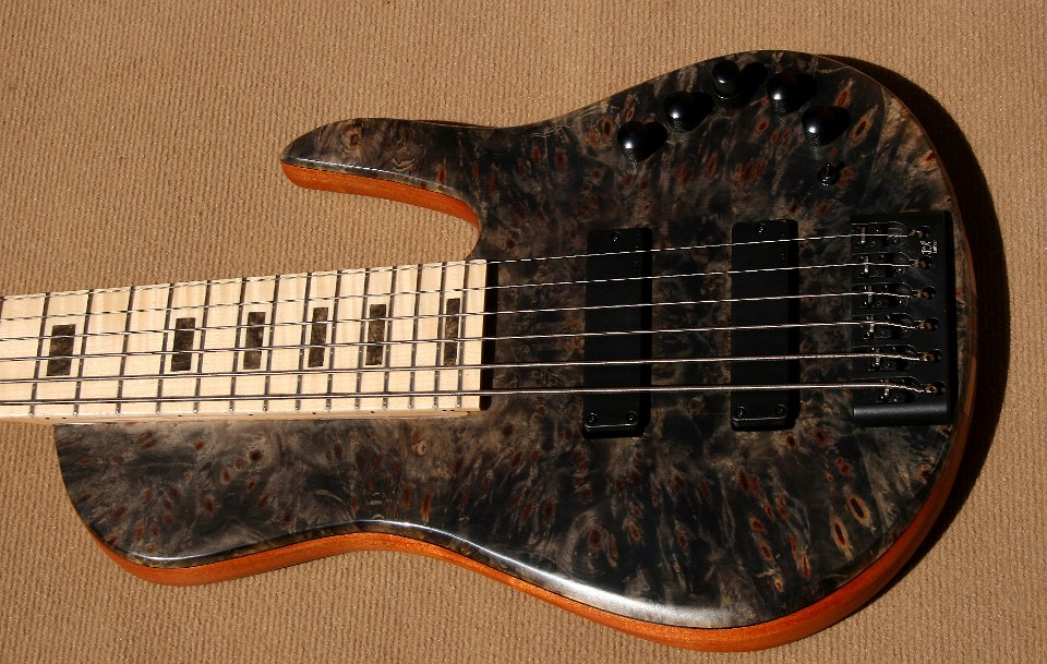 SC6 Buckeye Burl - Price 4000€